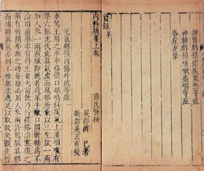 Nei Ke Zhai Yao 內科摘要