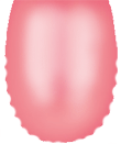 Vide-Qi-Humidite