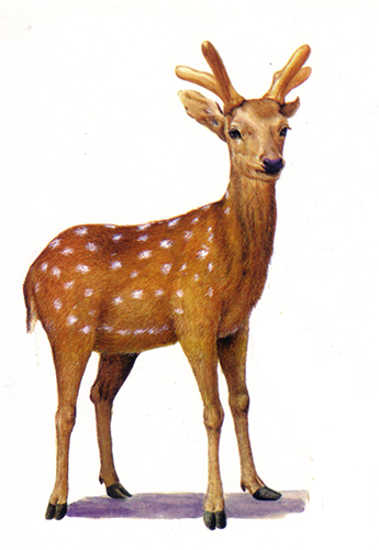 Lu Rong