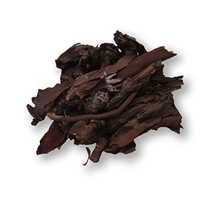 Zi Cao