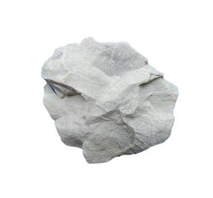Hua Shi
