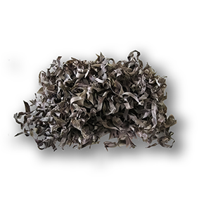 Shui Niu Jiao